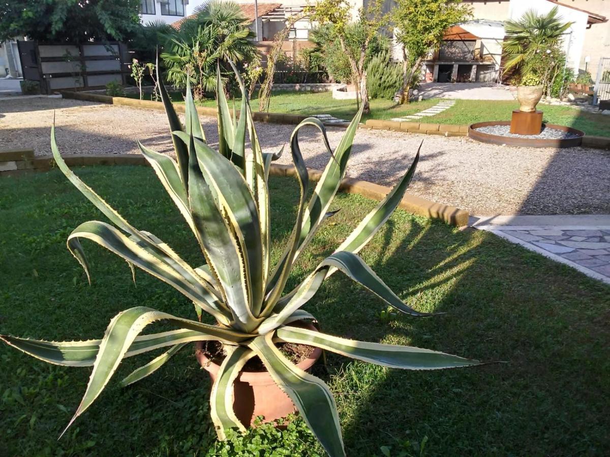 Ca Romi Villa Volta Mantovana Bagian luar foto